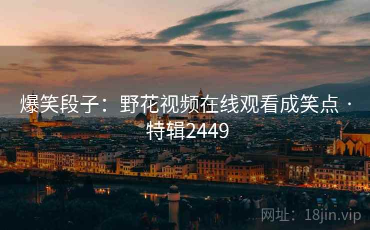 爆笑段子:野花视频在线观看成笑点 · 特辑2449