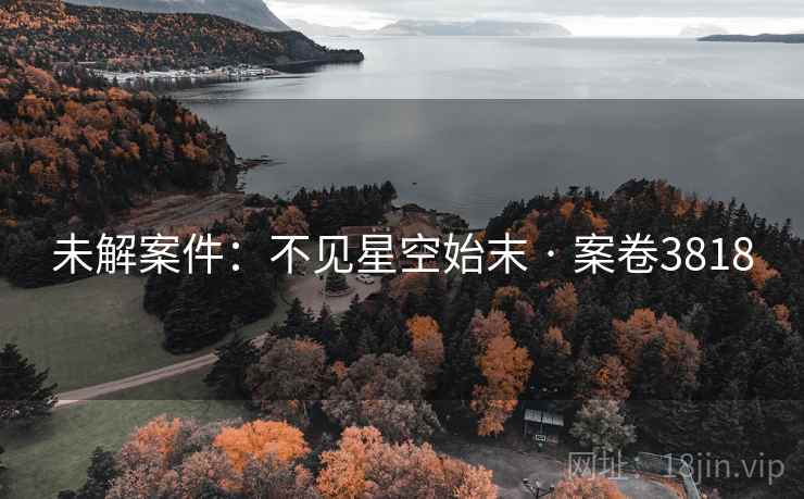 未解案件：不见星空始末 · 案卷3818