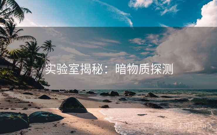 实验室揭秘：暗物质探测