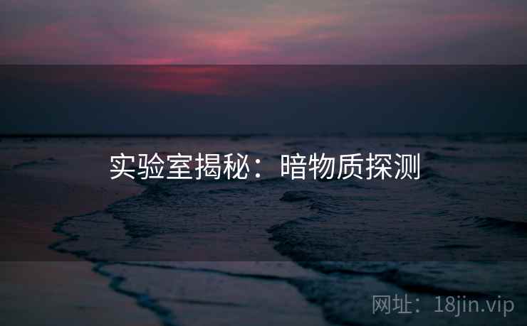 实验室揭秘：暗物质探测