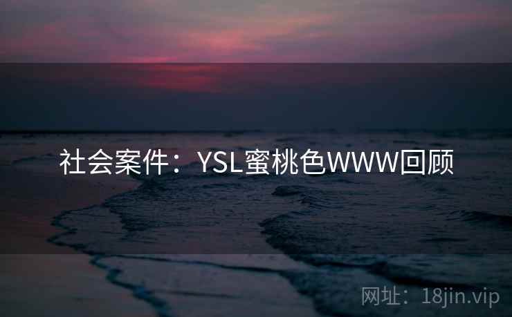 社会案件：YSL蜜桃色WWW回顾