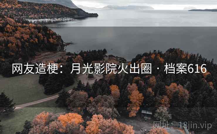 网友造梗:月光影院火出圈 · 档案616 网友造梗:月光影院火出圈 · 档案616