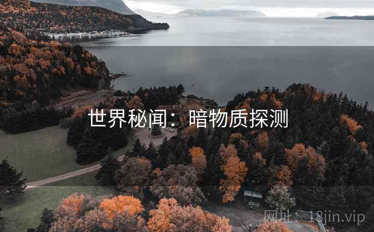世界秘闻:暗物质探测 世界秘闻:暗物质探测